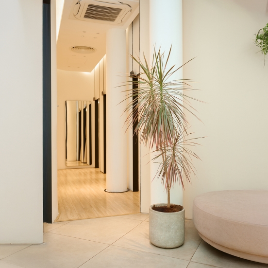 D.CHIC | NEW tiME - NEW ME