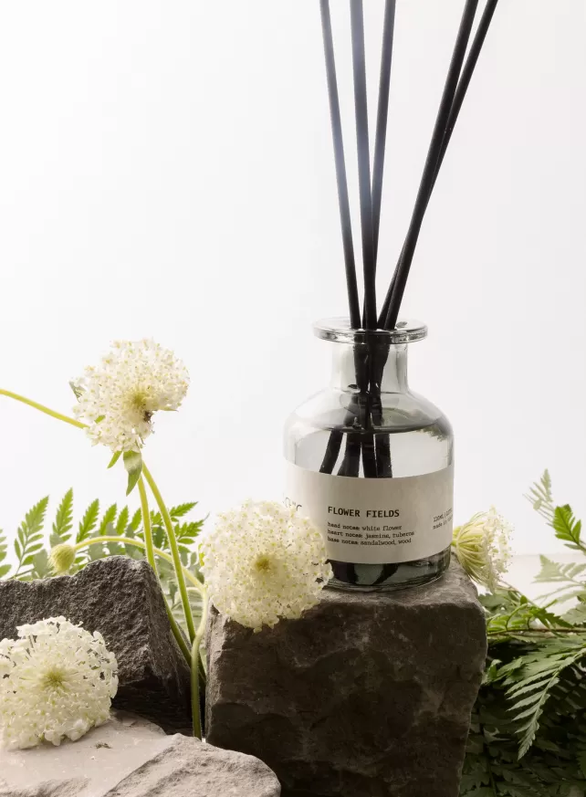 D.CHIC | NEW tiME - NEW ME